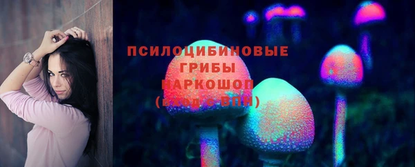 PSILOCYBIN Богданович