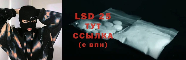 PSILOCYBIN Богданович