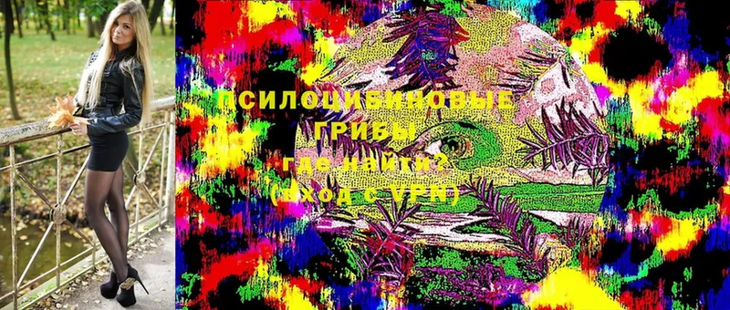 Псилоцибиновые грибы Magic Shrooms  Томск 