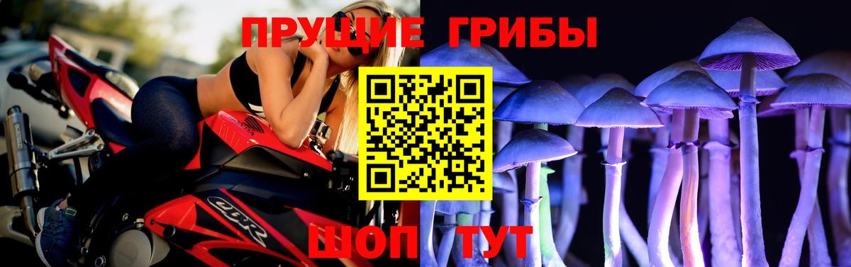 Псилоцибиновые грибы GOLDEN TEACHER Томск